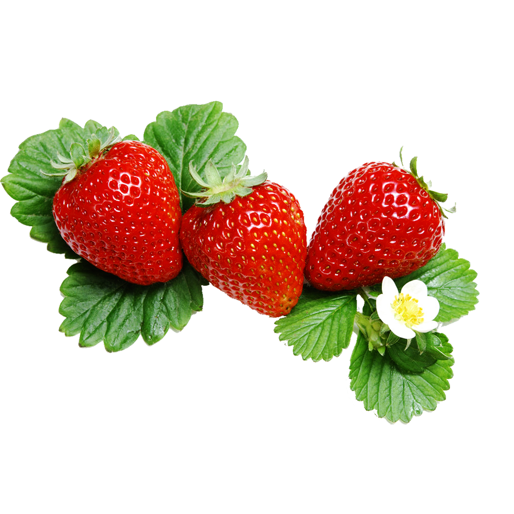 612055c202d25c44b2.png