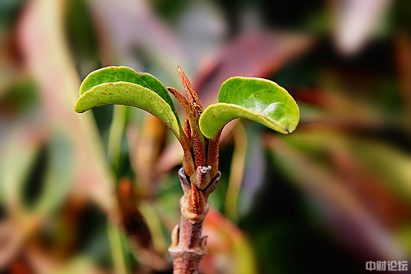 566135d4cbbaea796e.jpg