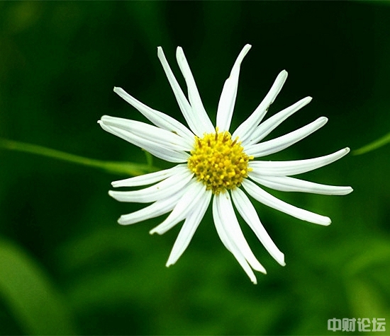 715995d50d248e3c19.jpg