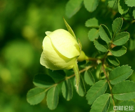 823335d5c99eb97cd6.jpg