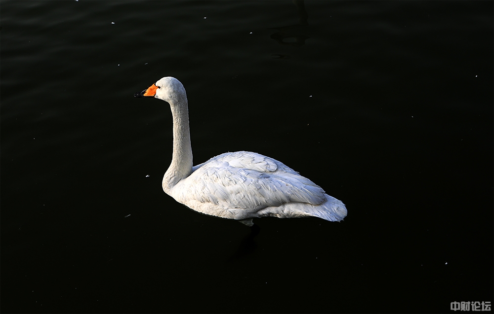 657505d67741e35824.jpg