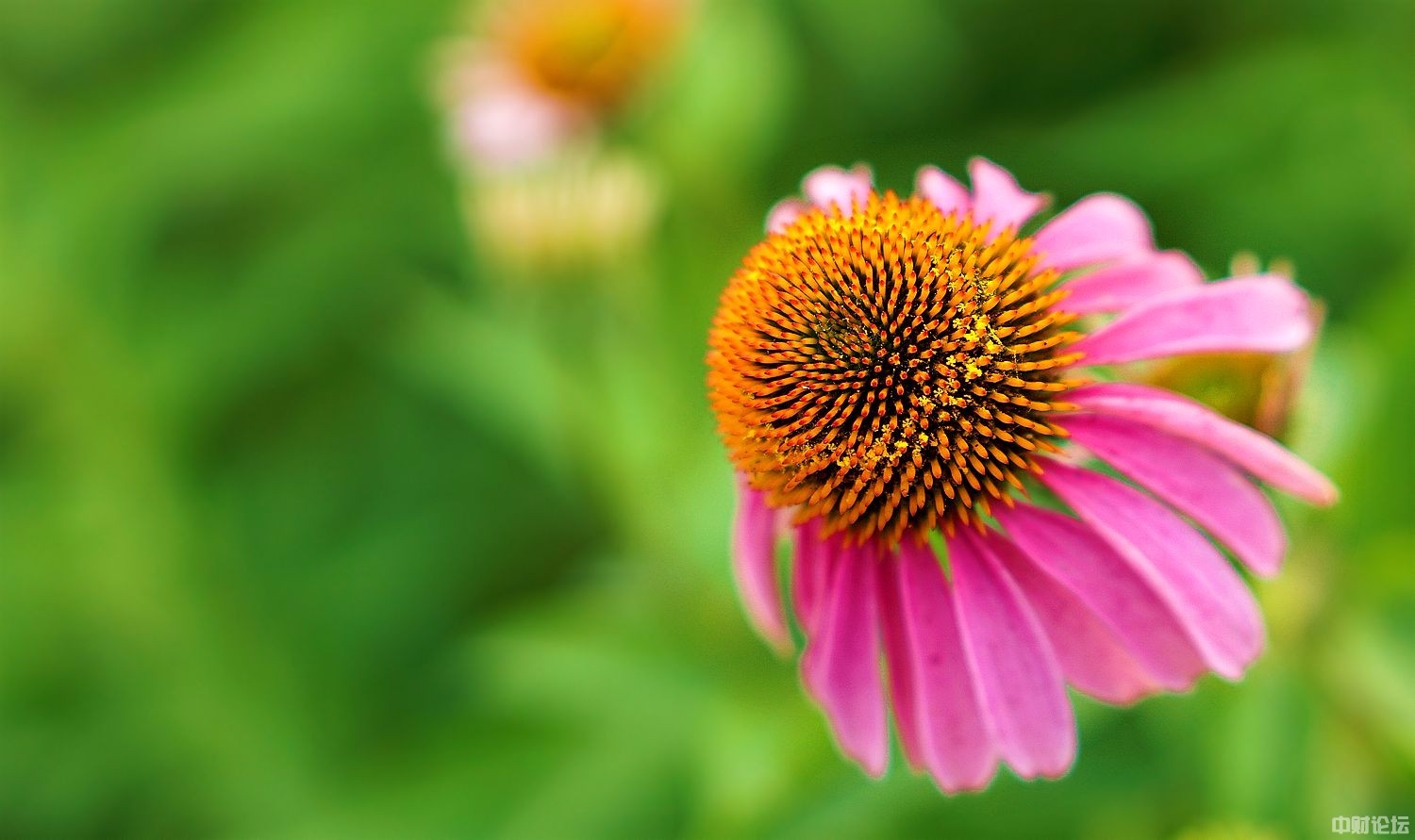 508585d9fd074891e1.jpg