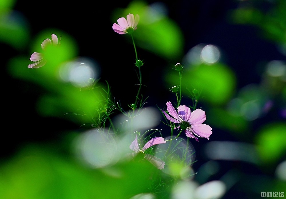 635385dae5835a344d.jpg