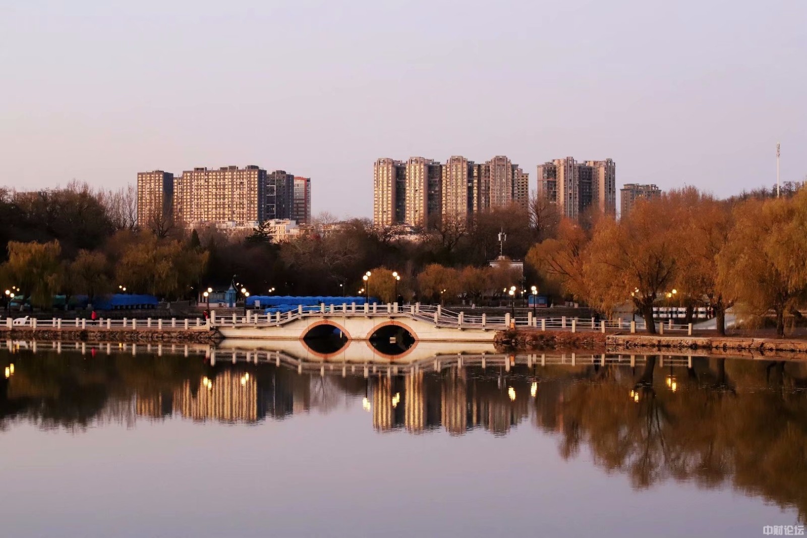 140105de480139d9ca.jpg