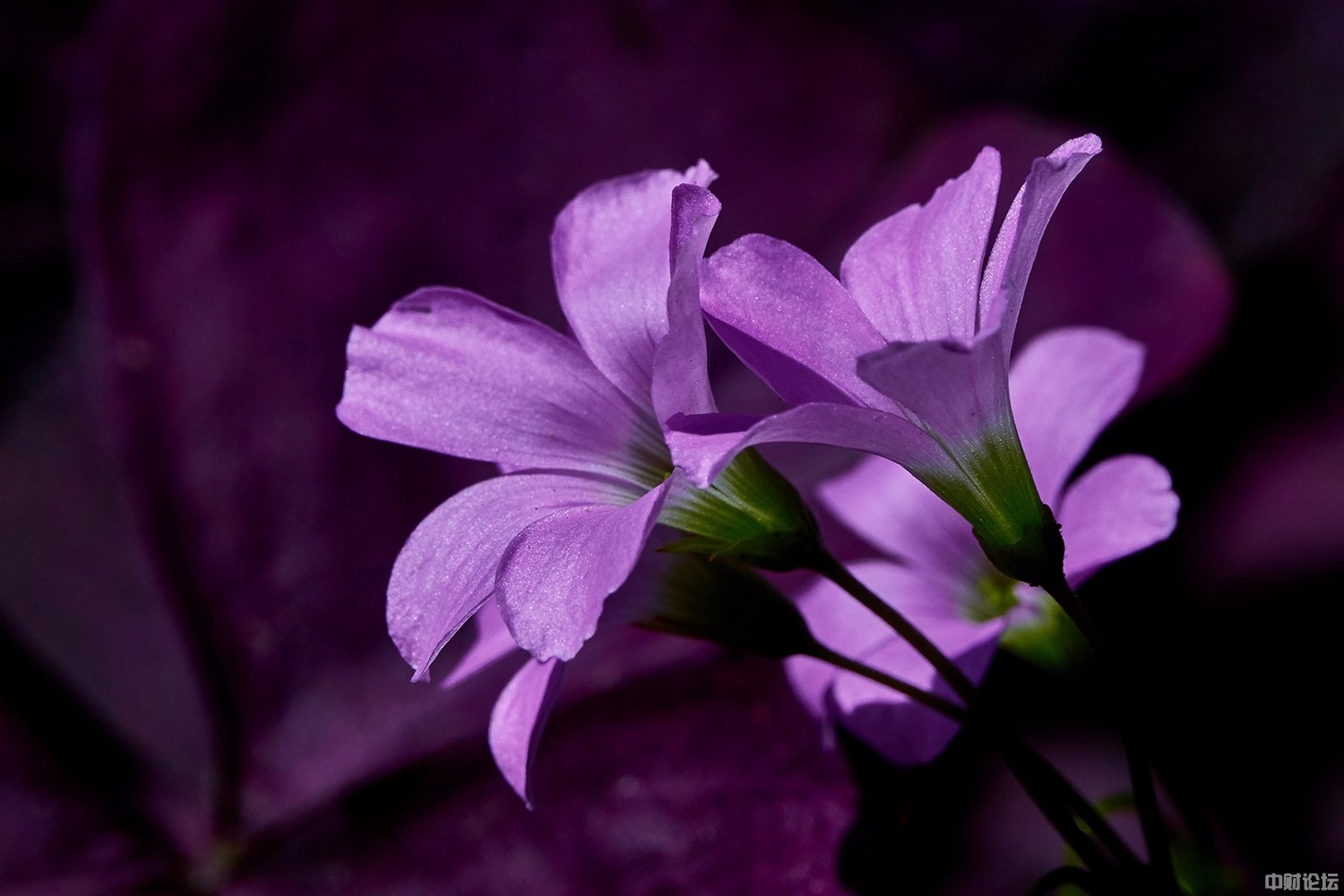 995205df05951cd51d.jpg