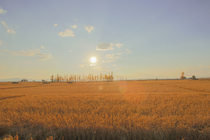 918005f9fb31b98b95.png