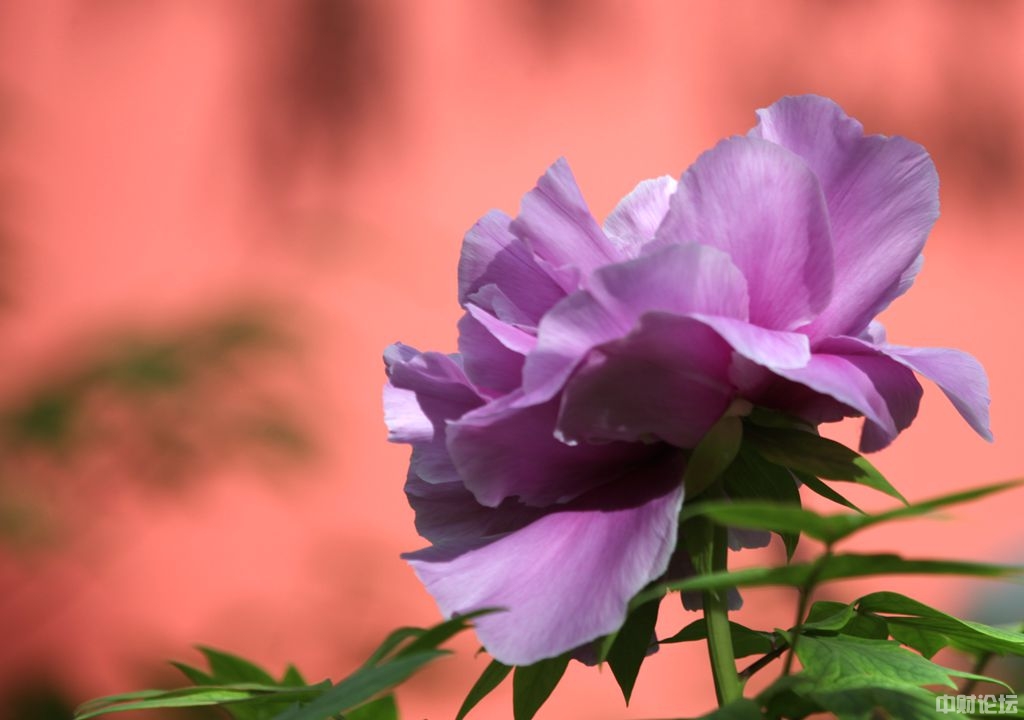 7519060b593121bc8c.jpg