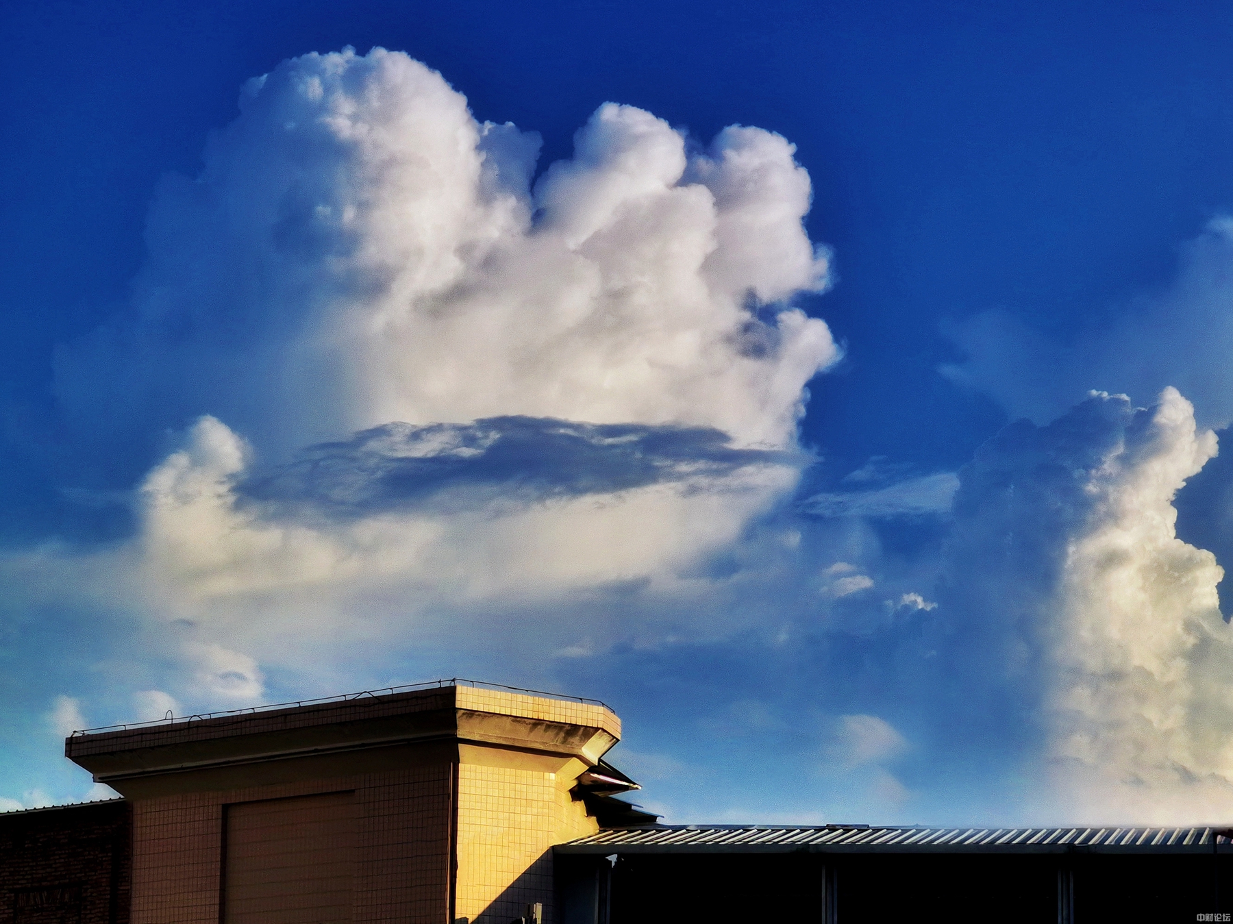 1272061301f0ed492b.jpg
