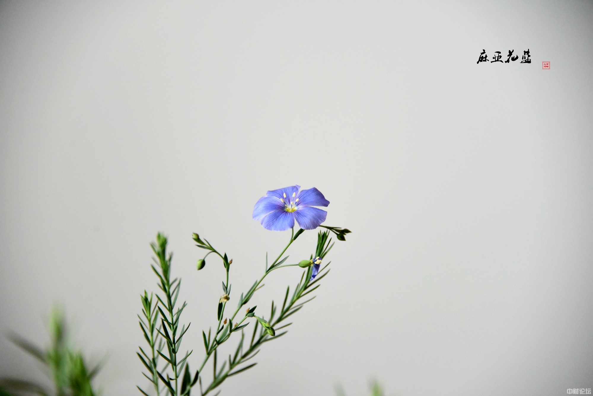 79417617f4ffacdba1.jpg