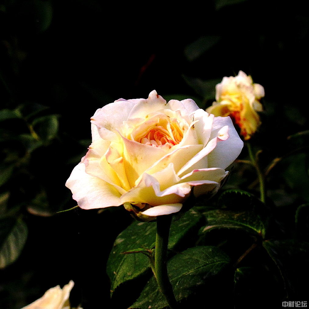 522876200694f0d97a.jpg