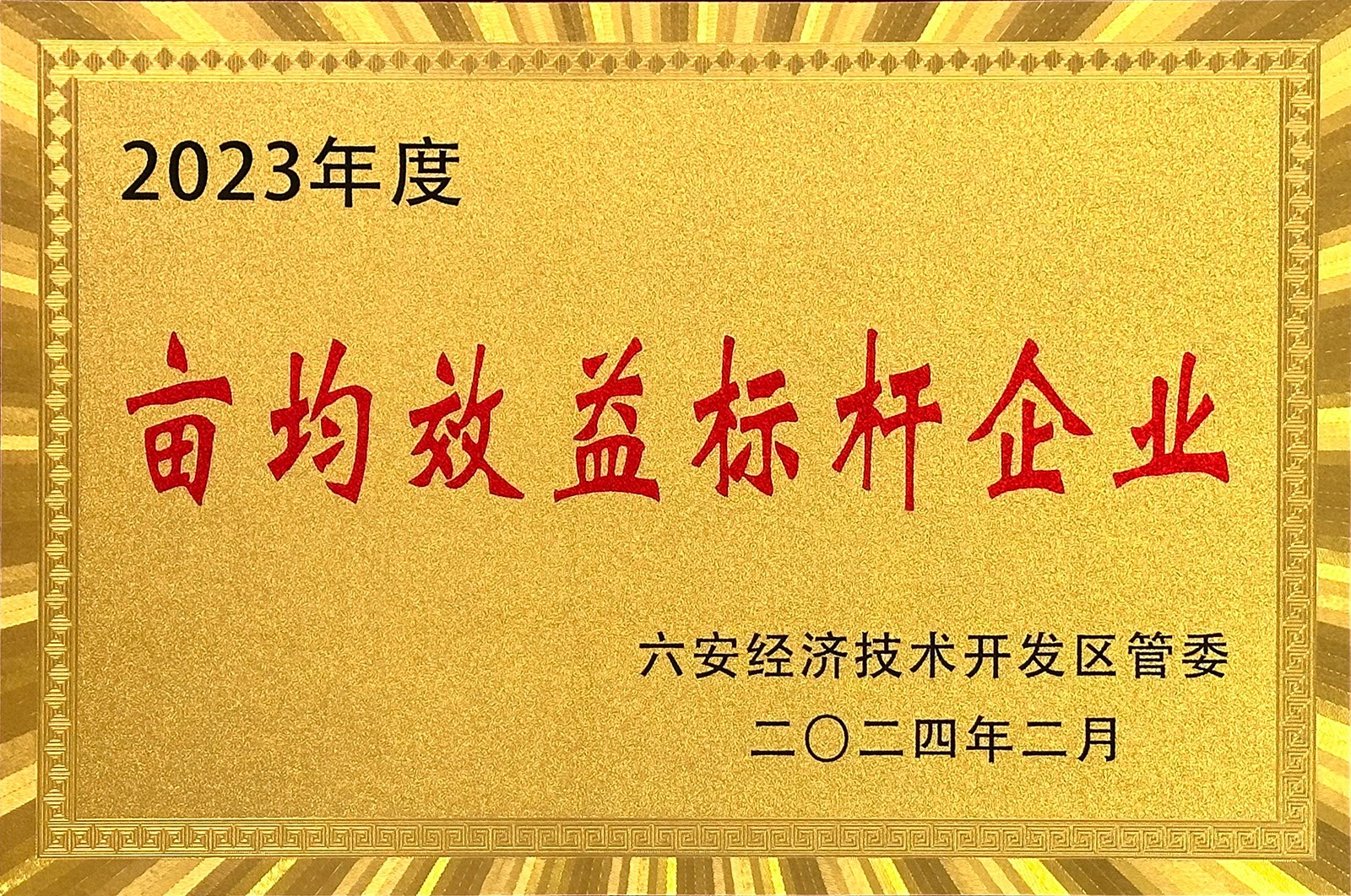 65d567c37ba87.jpg