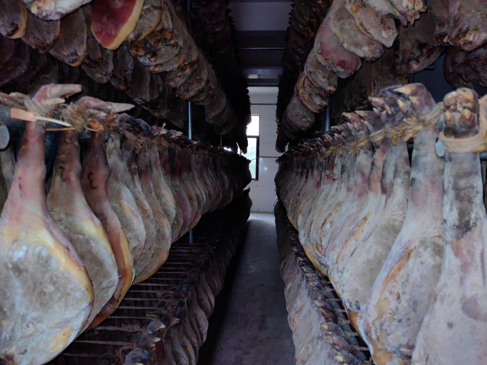 65aa2853d7167.png 65aa2853d7167.png